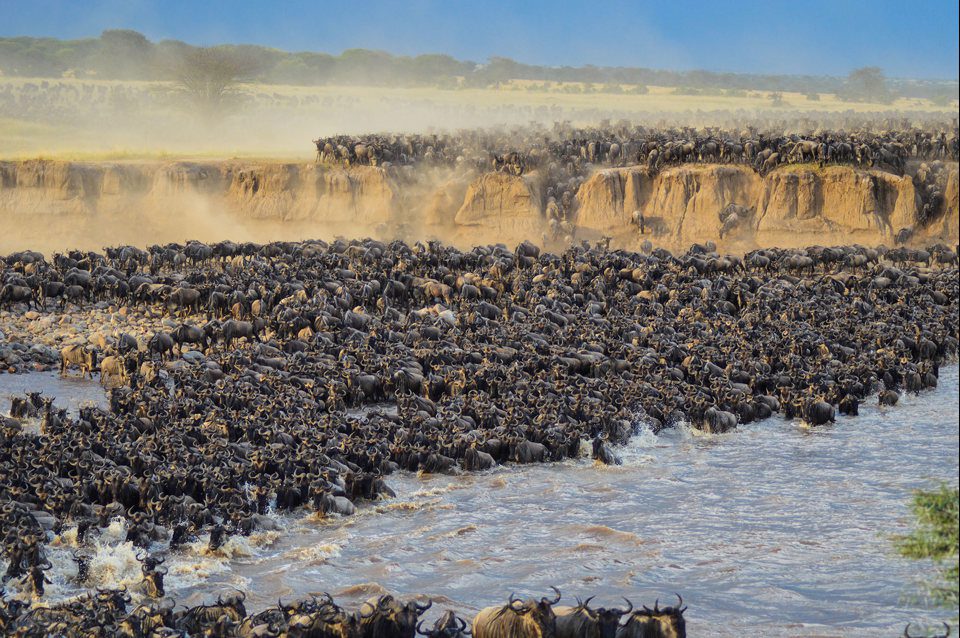 6 Days Mara River Crossing Safari