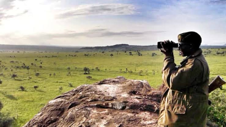18 Days Uganda Safari