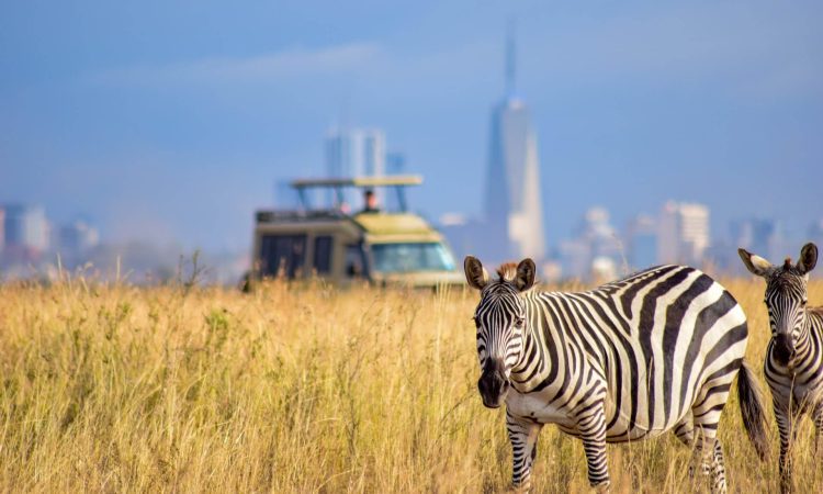Nairobi National Park