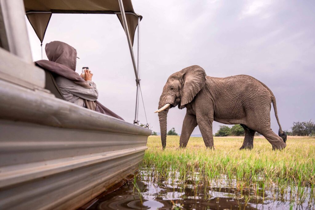Akagera National Park 